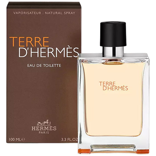(Hermes) Terre De hermes edt 100ml image 0